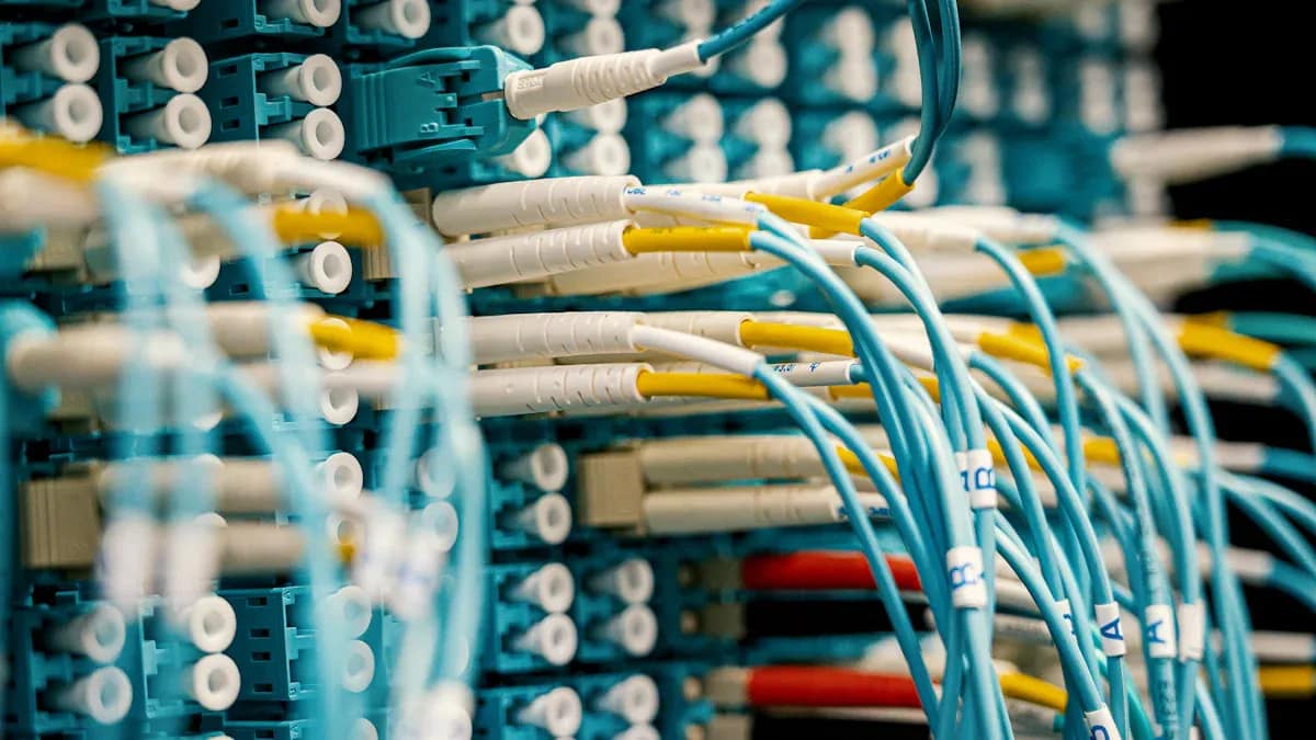 High Dynamic Range RFoF Modules